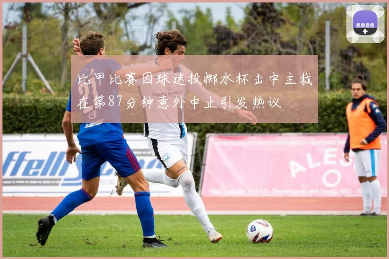 比甲比赛因球迷投掷水杯击中主裁在第87分钟意外中止引发热议