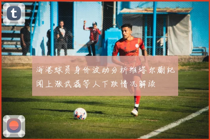 海港球员身价波动分析维塔尔蒯纪闻上涨武磊等人下跌情况解读