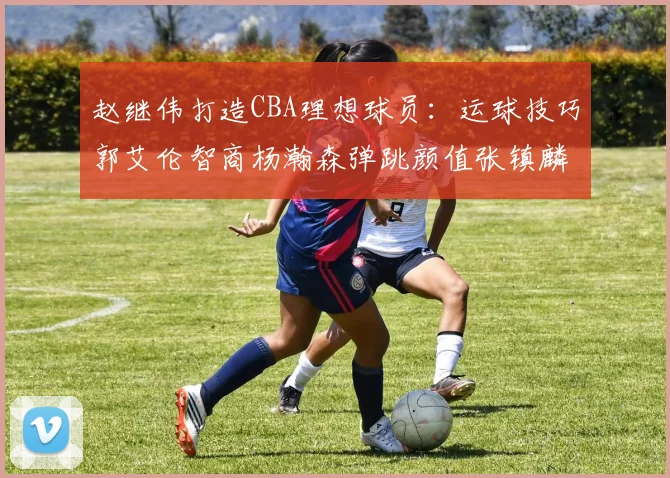 赵继伟打造CBA理想球员：运球技巧郭艾伦智商杨瀚森弹跳颜值张镇麟完美结合