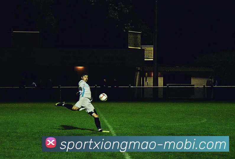 App Interface Preview