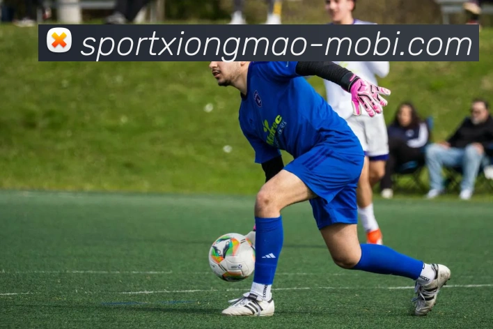 熊猫体育APP 封面图