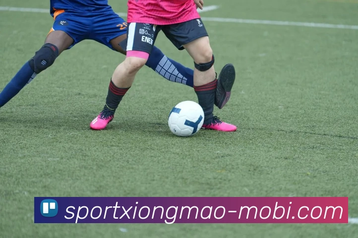 数据防护可视化