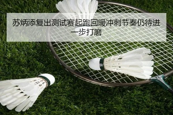 苏炳添复出测试赛起跑回暖冲刺节奏仍待进一步打磨